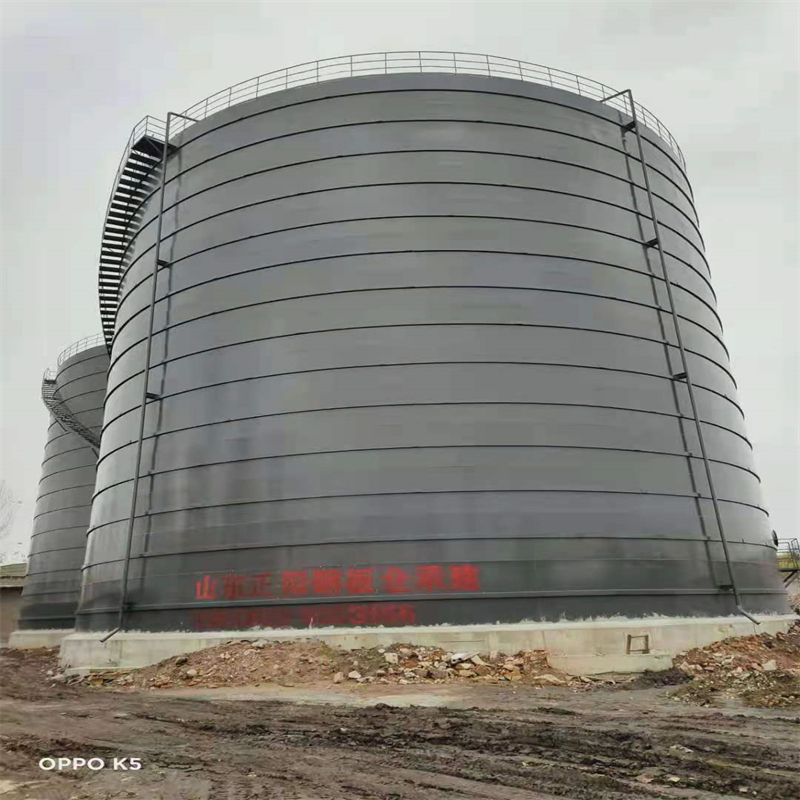 东莞生态园3万吨大型钢板库